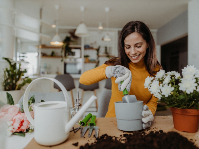 Renda Extra com Hobbies